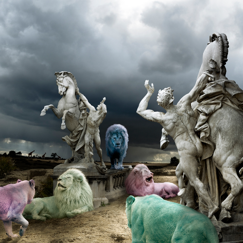 MUSE Photography Awards Silver Winner - Candy Lions by Cheraine Collette