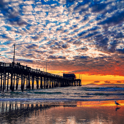 MUSE Photography Awards Gold Winner - Low Tide by Ashlee Eakin