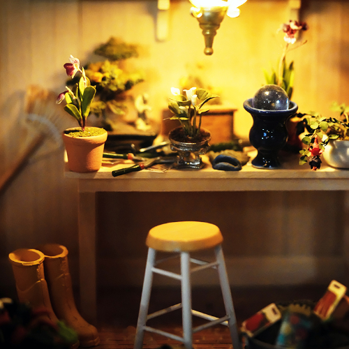 MUSE Photography Awards Gold Winner - Gardening Room by Ashlee Eakin