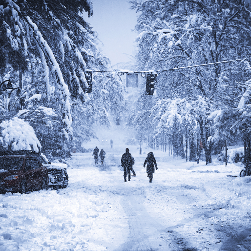 All Snowed Out - Photography Winner