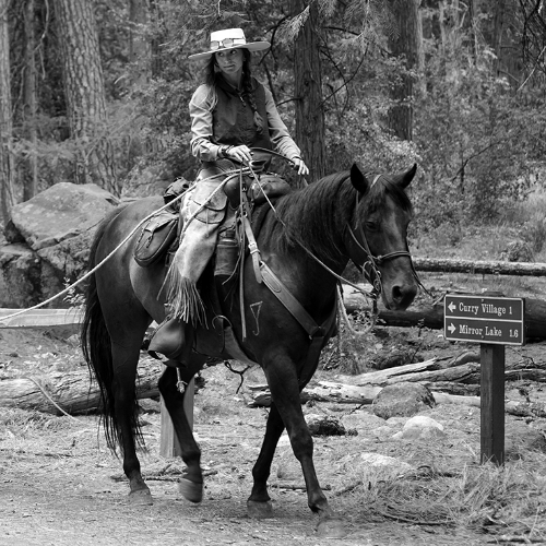 MUSE Photography Awards Gold Winner - Lone Ranger by Ashlee Eakin