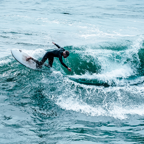 Shredder - Photography Winner