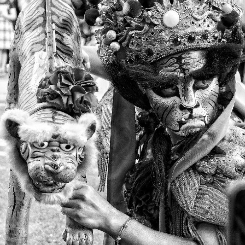 MUSE Photography Awards Silver Winner - Leader of the Parade by Lin Wen Hung