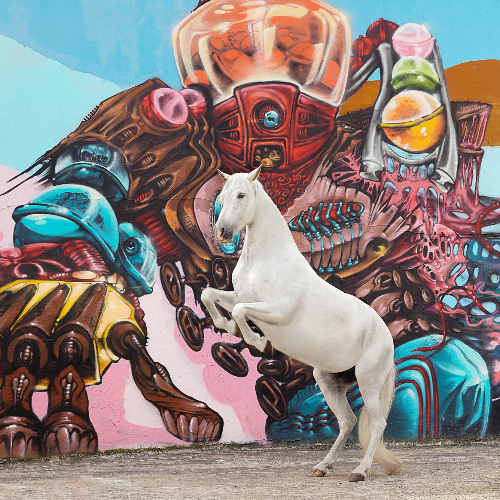 MUSE Photography Awards Silver Winner - Graffiti Horse by Andrea Zachrau