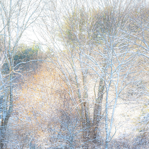 MUSE Photography Awards Silver Winner - Winter Light by Tim William Owen