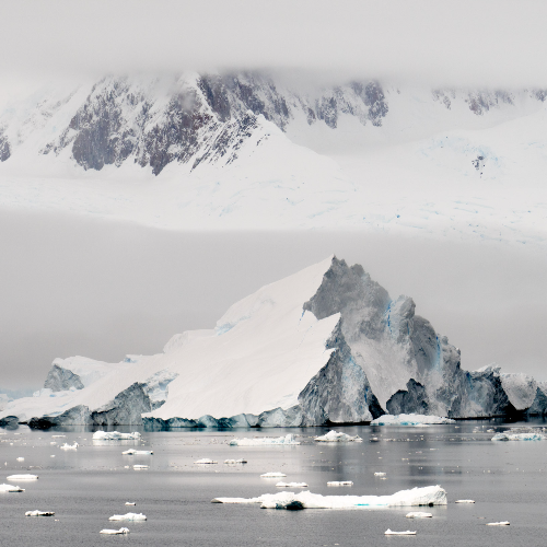 MUSE Photography Awards Gold Winner - Antarctica by Tim William Owen