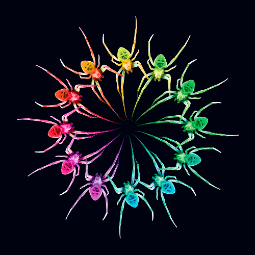 MUSE Photography Awards Silver Winner - Gathering Again, Together! by Jang Won Lee