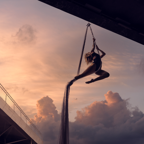 Flying High - Photography Winner