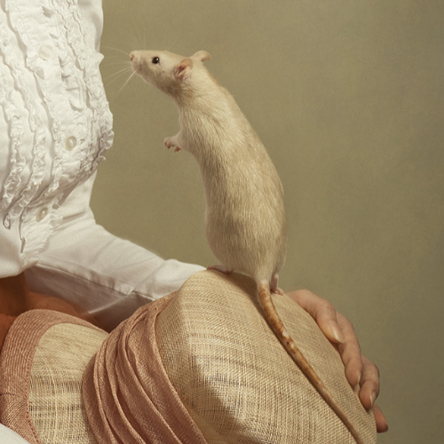 MUSE Photography Awards Platinum Winner - The Enchanted Hat: A Tale of Whispers and Friendship by Gabriela Homolova