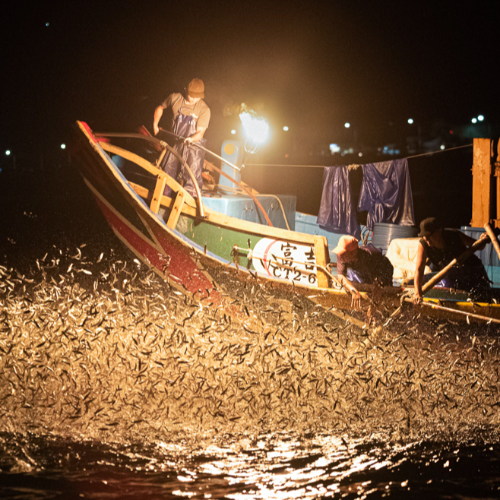 MUSE Photography Awards Gold Winner - Sulfuric Fire Fishing by CHO JEN LEE