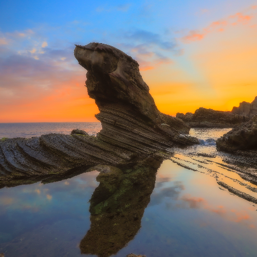 MUSE Photography Awards Silver Winner - The dog watching the sea by YEH YU-HAN