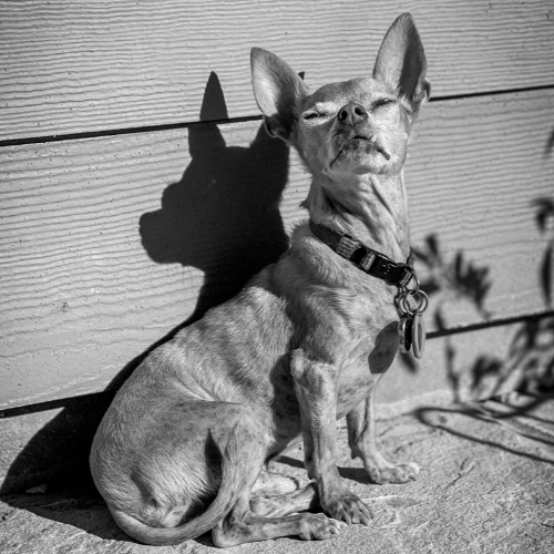 MUSE Photography Awards Gold Winner - Small But Mighty by Rebekah Helton