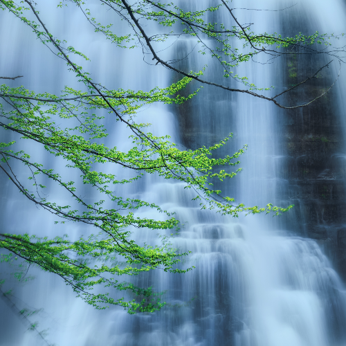 MUSE Photography Awards Silver Winner - Armony by Ranghiasci Raffaele