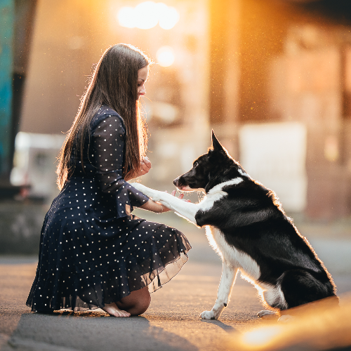 MUSE Photography Awards Gold Winner - Paw on it! by Katerina Mrackova