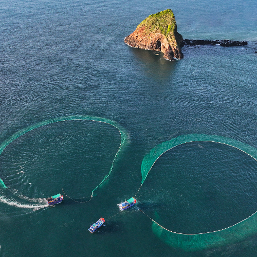 MUSE Photography Awards Silver Winner - Double Roundup Fishing by Diep Van