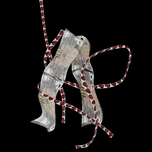 MUSE Photography Awards Silver Winner - Still Lives, Reimagined by Robin Bell