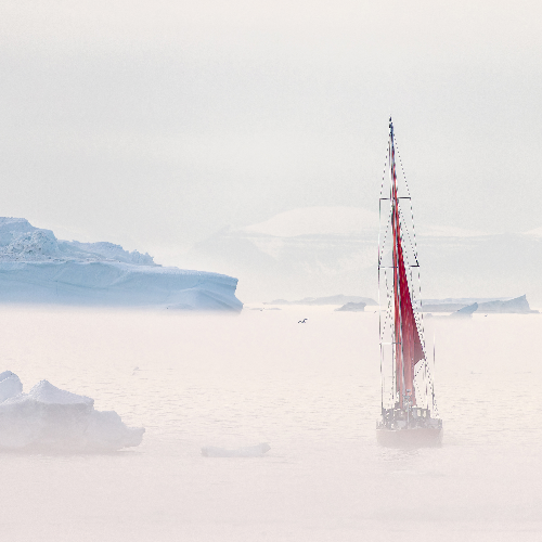 MUSE Photography Awards Gold Winner - People versus nature by Rares Besliu