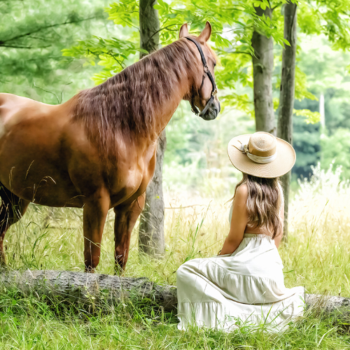 MUSE Photography Awards Silver Winner - A Magical Place by Jacqueline Harris