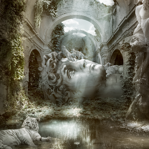 MUSE Photography Awards Silver Winner - Tiger's Tranquility by Cheraine Collette