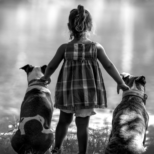 A Bond Beyond Words