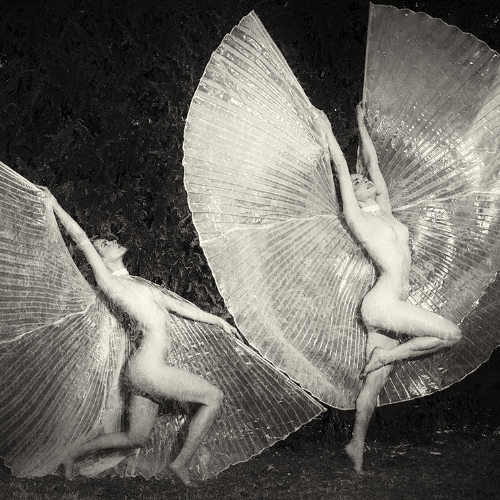MUSE Photography Awards Platinum Winner - Emergence of a butterfly by Eric Brunelle