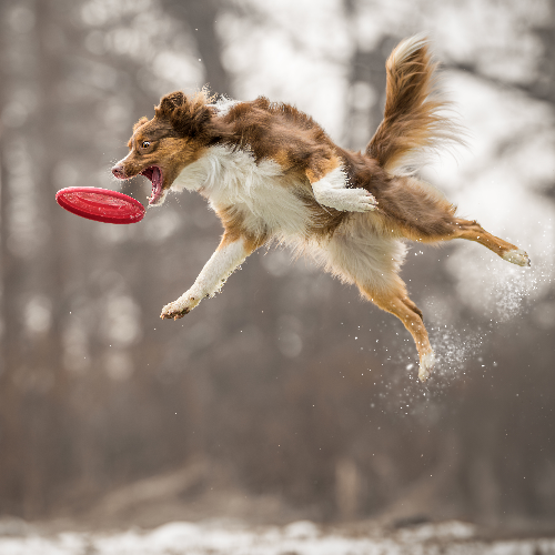 Defying Gravity