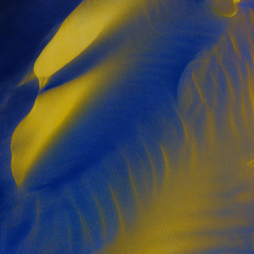 MUSE Photography Awards Gold Winner - Interplay by August Langhout