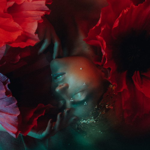 MUSE Photography Awards Platinum Winner - Passion by Sonka Skerik