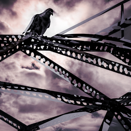 Roosting