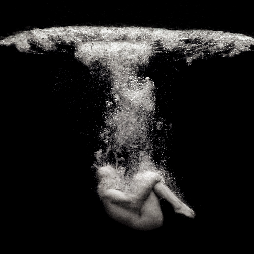 Rebirth - Photography Winner