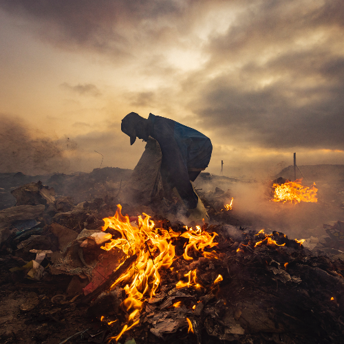 MUSE Photography Awards Platinum Winner - Scavengers by João Coelho