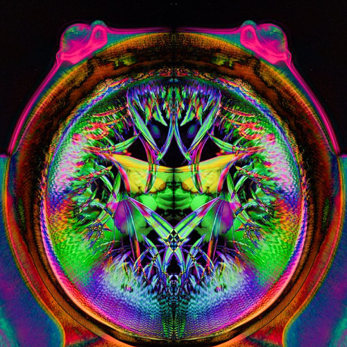 MUSE Photography Awards Gold Winner - Mirror Law: (UN)seen Beauty of Transformation by Karolina Kaszewicz
