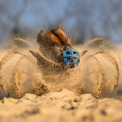 MUSE Photography Awards Platinum Winner - Sandstorm Spirit by Lucie Nermutova