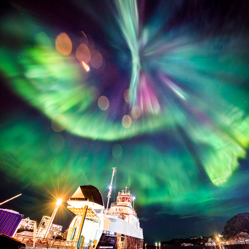 MUSE Photography Awards Platinum Winner - Dance of the Aurora  by Shirley Wung