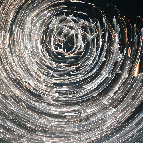 Award-winning photograph Wind direction in the dark by CHENG YI HUNG, 2026 MUSE Photography Awards Gold Winner