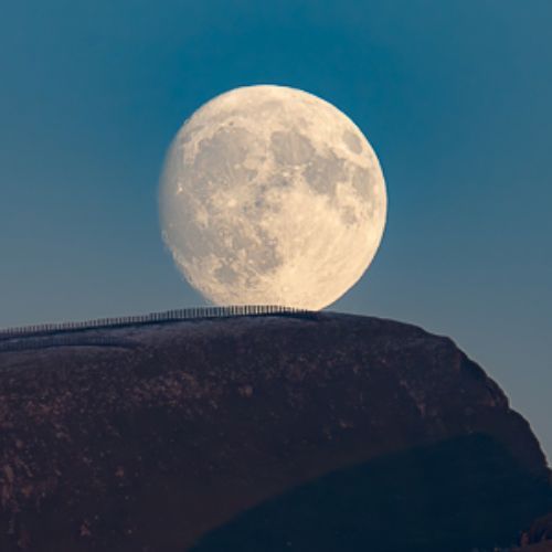 Award-winning photograph The Resting Moon  by Ariane Totzke, 2026 MUSE Photography Awards Platinum Winner