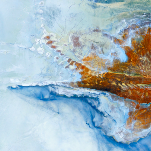 2026 MUSE Photography Winner - Rust by Mark Gray