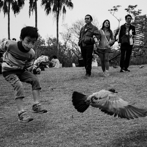 Award-winning photograph JUMP SCARE by Su Kuan Yu, 2026 MUSE Photography Awards Gold Winner