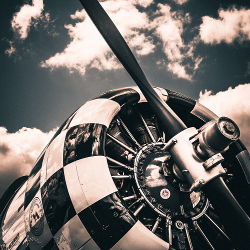2026 MUSE Photography Winner - Warbird Reverie by Leslie Robins