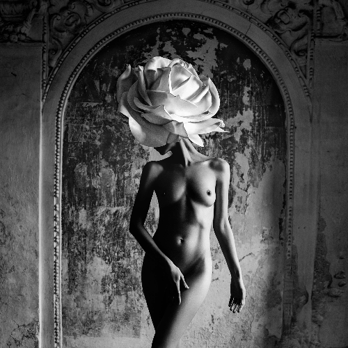 Award-winning photograph Veiled Identity by Monika Leszczynska, 2026 MUSE Photography Awards Gold Winner