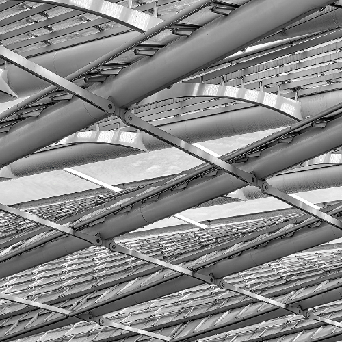 Award-winning photograph Cover for Shopping by Glenn Goldman, 2026 MUSE Photography Awards Silver Winner