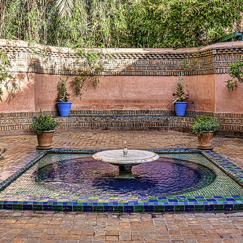 Award-winning photograph Jardin Majorelle by Glenn Goldman, 2026 MUSE Photography Awards Silver Winner