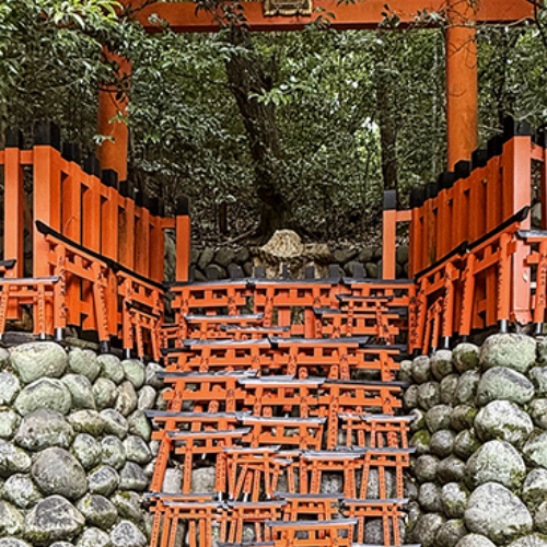 Award-winning photograph Offerings by Glenn Goldman, 2026 MUSE Photography Awards Gold Winner