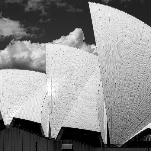 2026 MUSE Photography Winner - Sydney Opera House Sails by Glenn Goldman