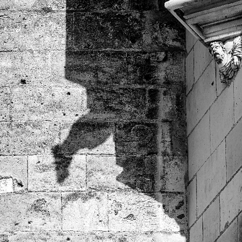 Award-winning photograph Shadow Guardians by Glenn Goldman, 2026 MUSE Photography Awards Silver Winner