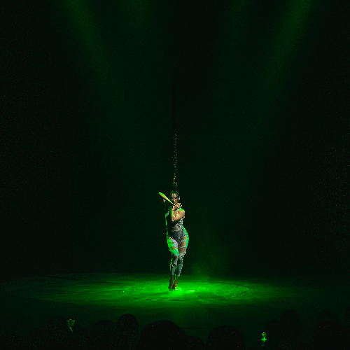 2026 MUSE Photography Winner - Green Light Special  by Marcus Holloway