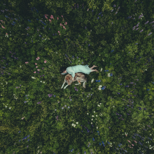 Award-winning photograph Lupus valley by Lia Paugsch, 2026 MUSE Photography Awards Gold Winner