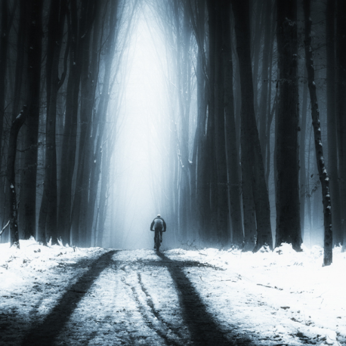 Award-winning photograph I went to the wood by Eddy Verloes, 2026 MUSE Photography Awards Gold Winner