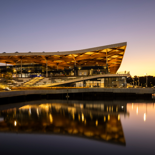 Award-winning photograph Sydney Fish Market by Andrea Francolini, 2026 MUSE Photography Awards Gold Winner