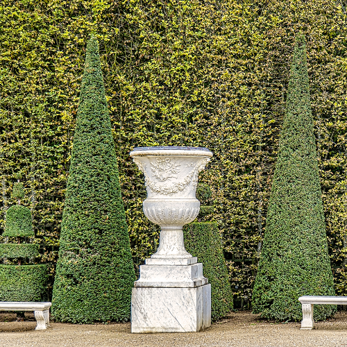 Award-winning photograph In the Garden by Glenn Goldman, 2026 MUSE Photography Awards Silver Winner